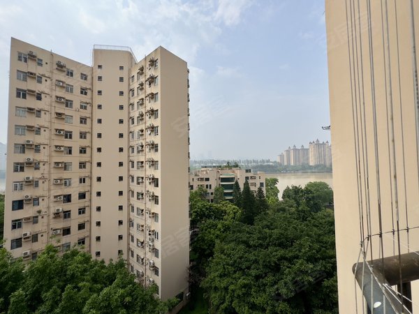 广州番禺星河湾星河湾海怡花园星河湾海怡花园 89平南向望江拎包入住