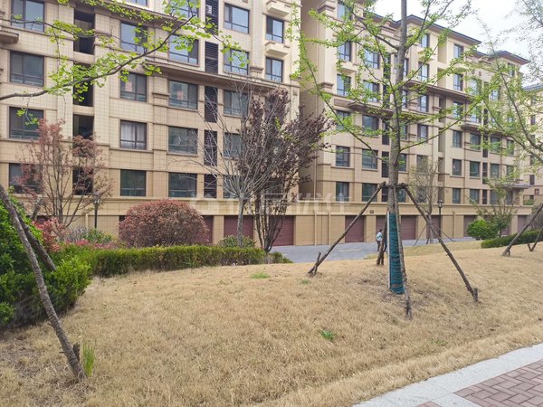 【多图】梦想望城(晨园),望城租房,南北通透 精装套三 装修绝绝子适合