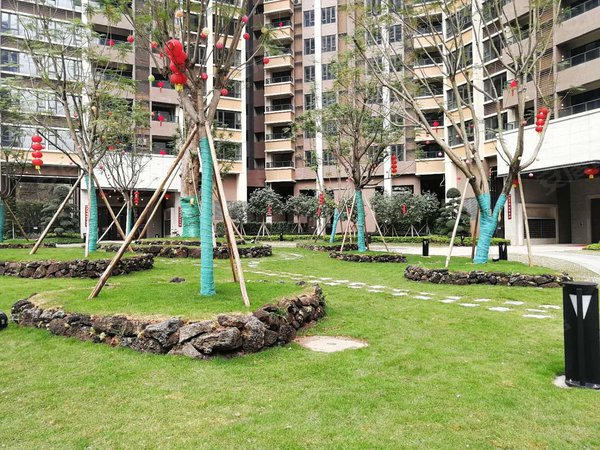 广州白云金沙洲金名都金名都 3室2厅2卫 通风好 南北通透 近地铁 年轻