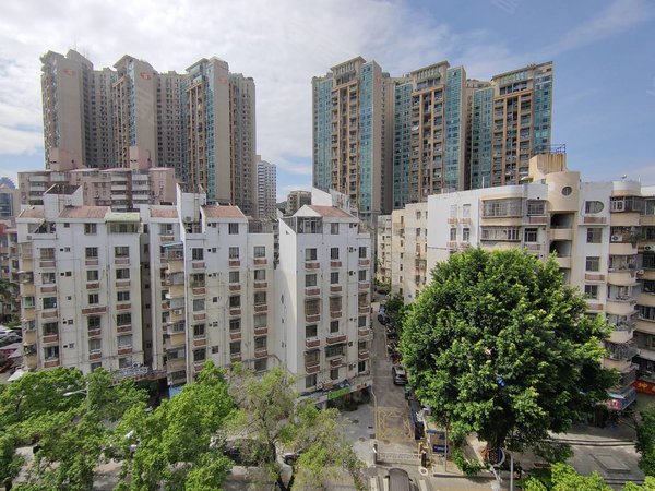 深圳罗湖水库东乐花园(罗湖)新上 地铁口物业 东乐花园三房 看房方便