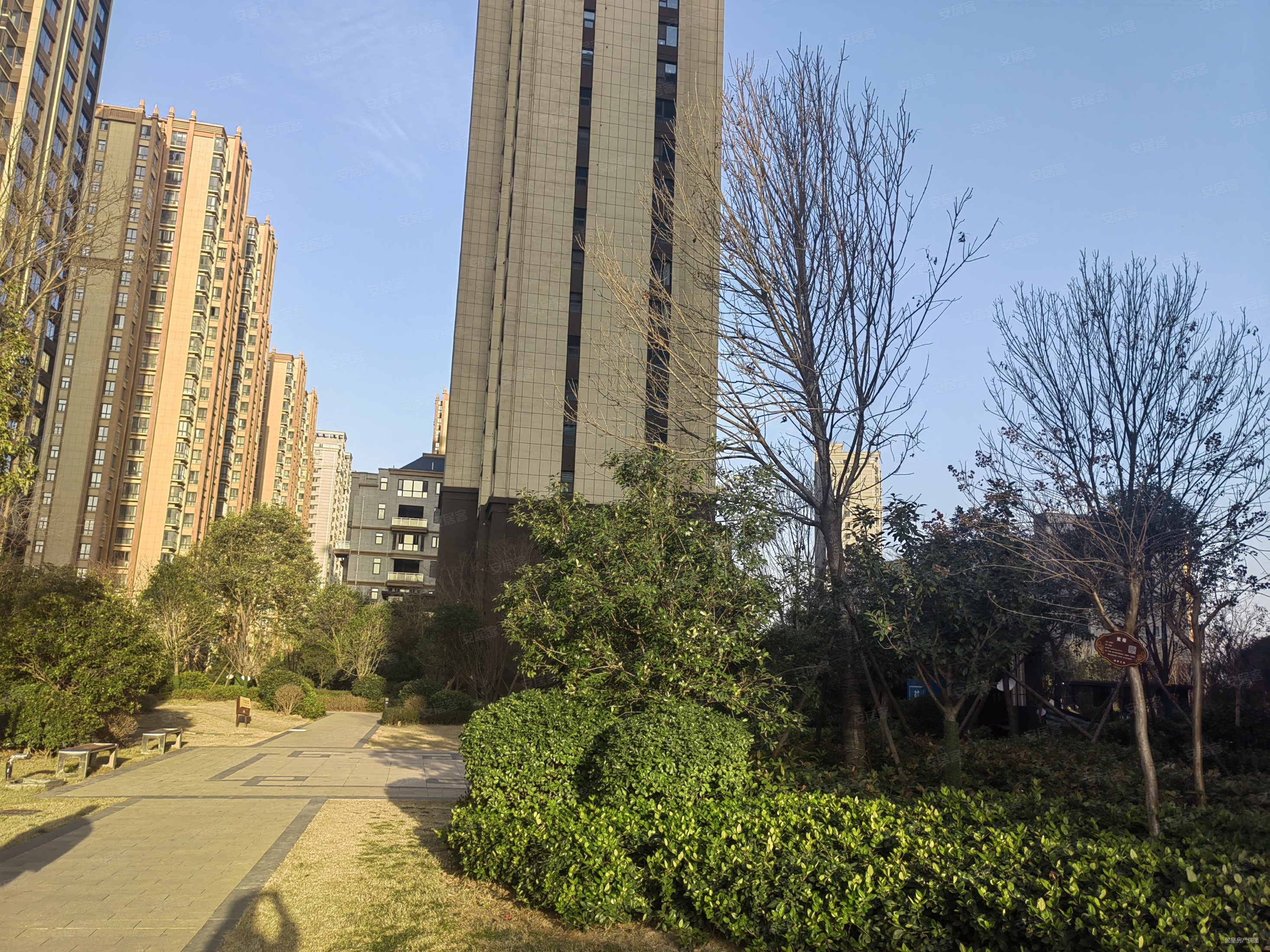 伊滨区师范附近天明城隆安东方明珠伊水苑洛阳府翡翠庄园