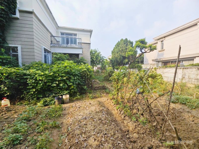 东逸湾占地2亩大独栋花园大赠送多安静