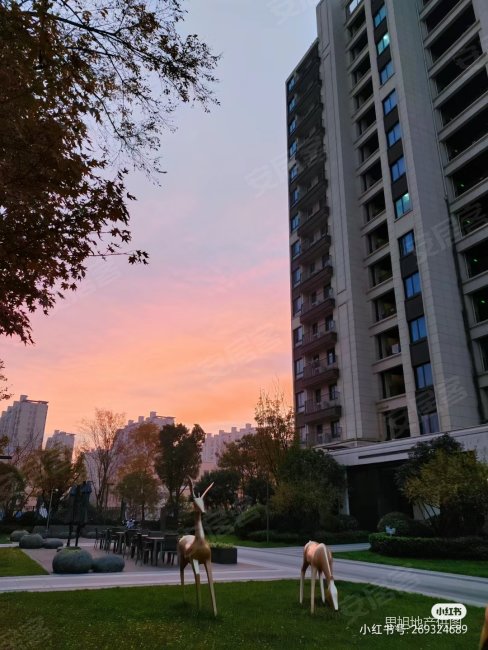 龙湖春江天玺南区