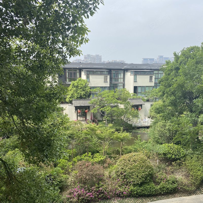 【虎豹郡王府, 虎豹郡王府小区详情,房价走势,房源,业主论坛】- 扬州