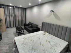 镇江丹阳丹阳开发区吾悦 眼镜城附近公寓 精装修 可短租 押一付一 1000月!出租房源真实图片