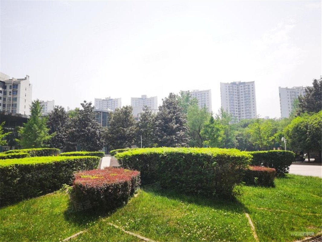 枫林绿洲云顶园降26w,103平两室23 可按揭法拍房