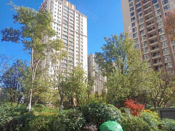 昆明西山前卫营润城(7区)润城七区儿童医院附近 豪华装修时尚型 带