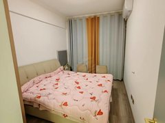 射阳射阳城西后羿公园四季芳庭电梯两室两厅精装出租！出租房源真实图片