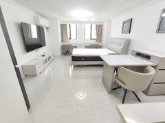 武汉洪山光谷东豪华独户一居室,光谷六路地铁口,国采,沃德,大悦城,小米华为出租房源真实图片