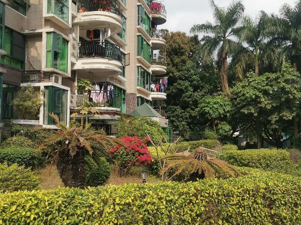 深圳福田笔架山阳明山庄阳明山庄四房两厅16800元月出租出租房源真实