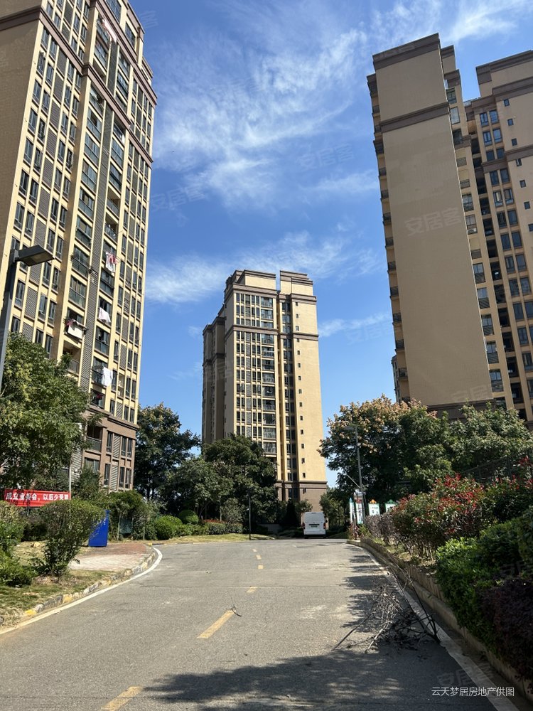 南北通透两房高层老证少税,枫桦苇岸(二期)二手房,50万,2室1厅,1卫