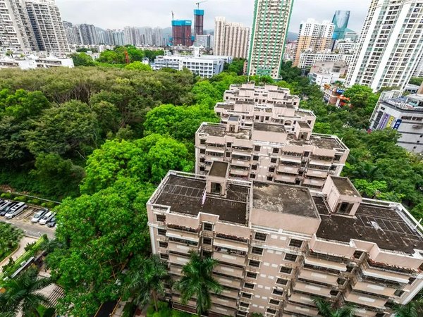 深圳福田景田南合正名园(二期)合正名园 一房一厅 安静好停车 近人民