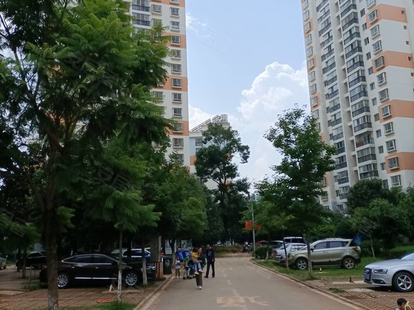农大旁 沣源路 德惠小区 精装2室电梯房 有钥匙出租房源真实图片