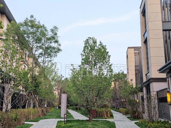 【多图】瑞悦府,孙河租房,高楼层,15号线孙河站,家私齐,集中供暖,人车