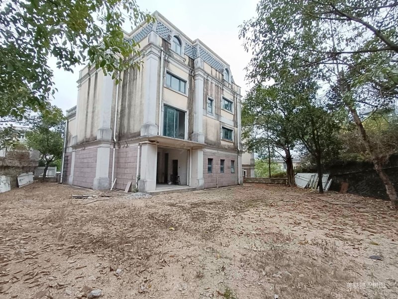 南山区大独栋别墅约500平大花园喜欢这个大花园