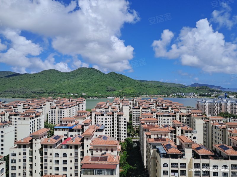 半岛蓝湾 高层 三房两卫 房态好 看房方便