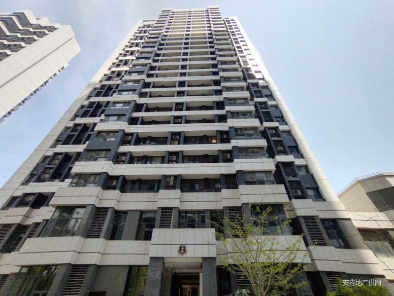 东港恒大城市之光 南北通透精装 可拎包入住 非填海 价格可谈
