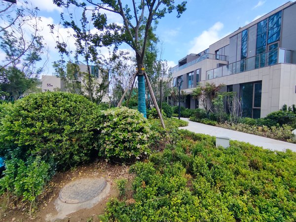 青岛黄岛东方影都鑫苑灵山湾龙玺(别墅)东方影都,龙玺联排别墅,可签十