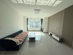 伊犁伊宁市伊宁市开发区印象江南 3室2厅2卫 130平 电梯房 精装修 可拎包入住出租房源真实图片