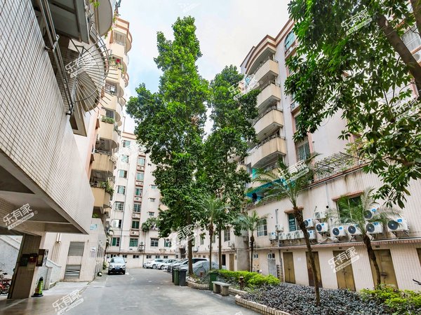 广州番禺番禺广场东怡新区东倩园近地铁中楼层精装三房,出租,价格有