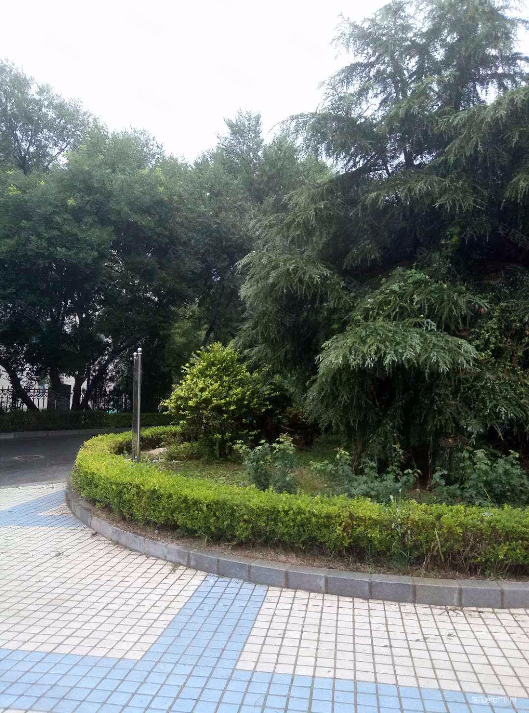 中山区西岗区超牛的华良海景花园背山面海多层电梯洋房价低低