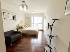 深圳南山华侨城近世界之窗独栋公寓精装修可停车拎包入住民水民电出租房源真实图片