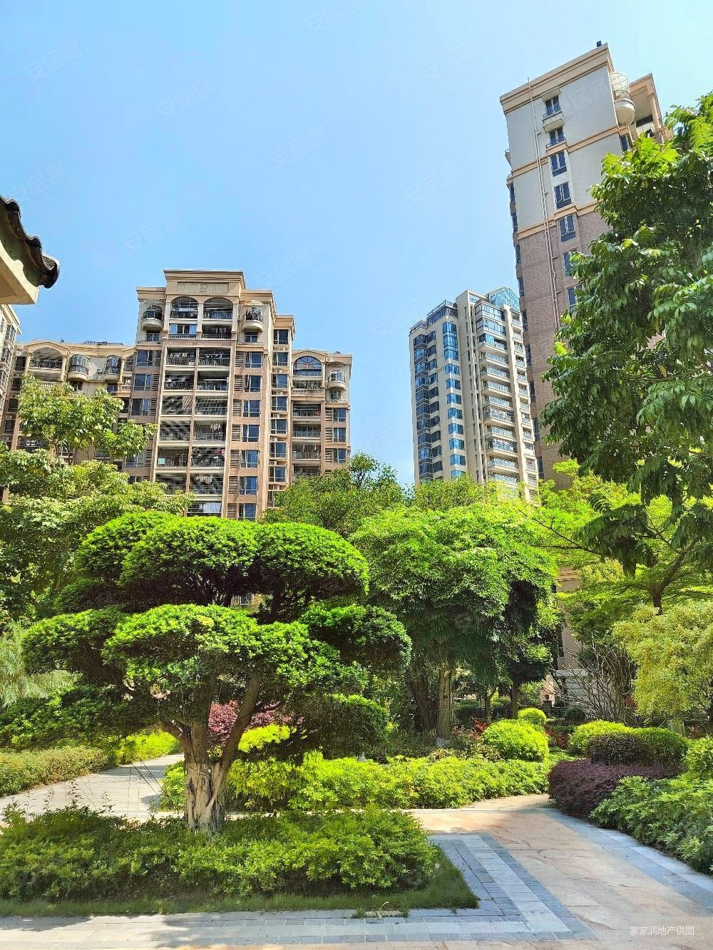 金山湖花园三区东南向一线看湖精装三房