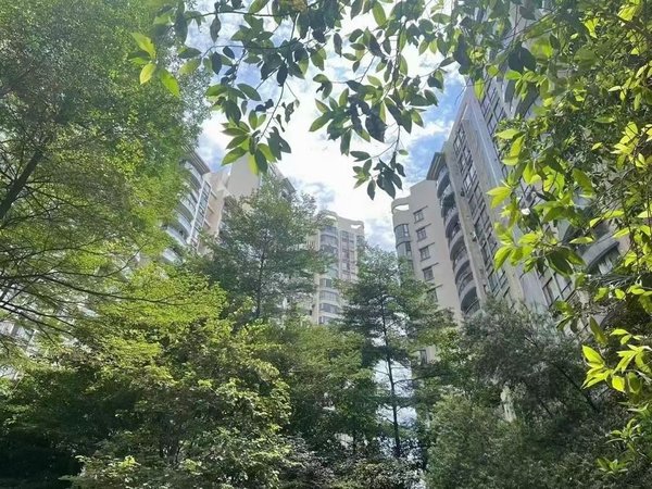 【多图】海富花园,江燕路租房,海富花园四期 3房2卫5800 安静看花园,