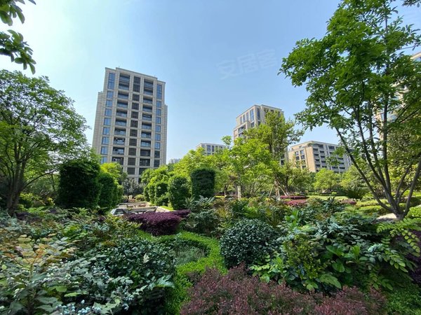 杭州西湖西溪西溪诚园守纯苑西溪诚园守纯苑4房 空房 带车位 看房方便