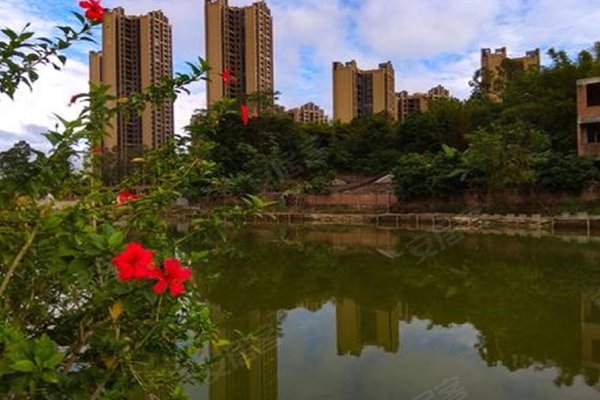 广州中泰天境花园图片