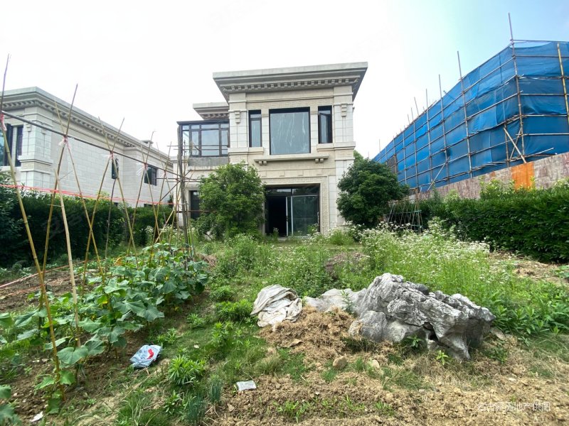 金科  一期 独栋别墅 视野开阔无遮挡 土建已做好 满五年!