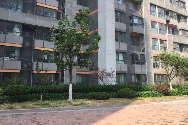 济南二手房 明湖白鹭郡 > 王华荣解读明湖白鹭郡小区不足