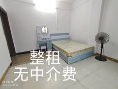 海口琼山凤翔东下坎东五小旁价格优惠拎包入住出租房源真实图片