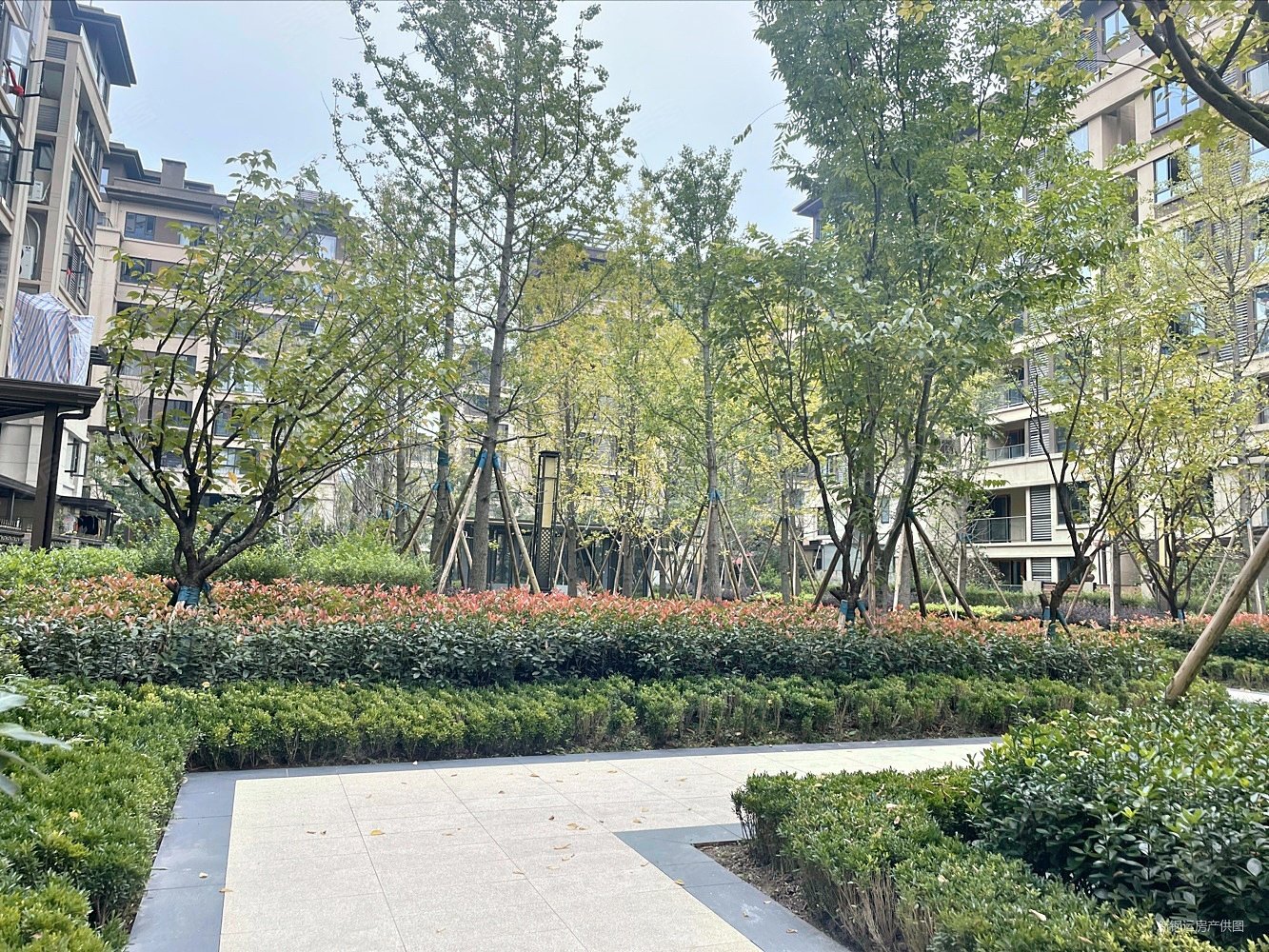 吾悦广场旁公园边俊豪小洋房家装三室双卫可看公园69万