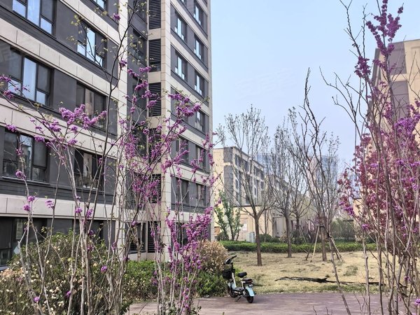 【多图】津门正荣府,张家窝租房,南站旁 近经纬恒润 新校区电梯洋房