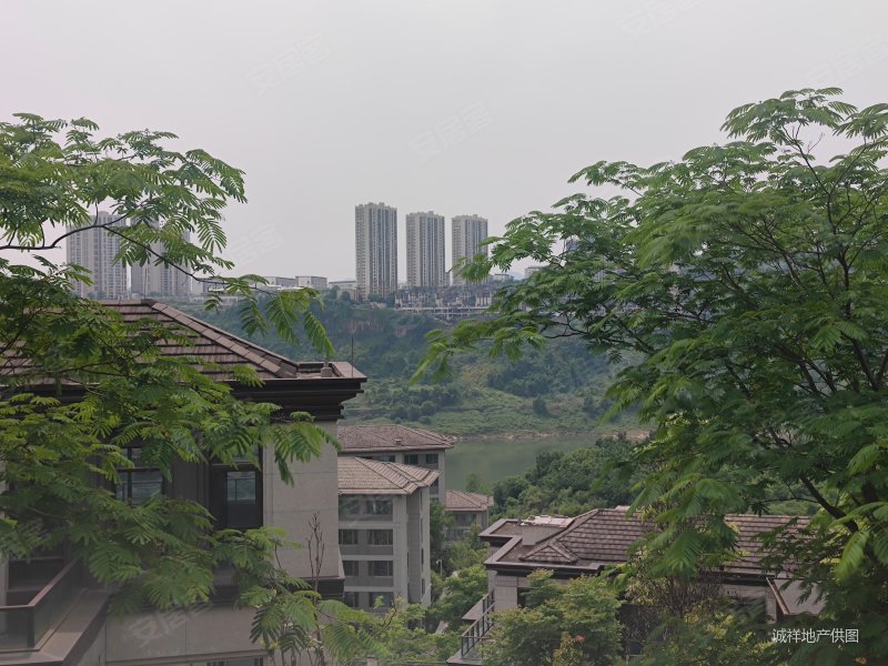 重庆房产网>重庆二手房>渝北二手房>悦来二手房>望江府白鹭岸>800_600