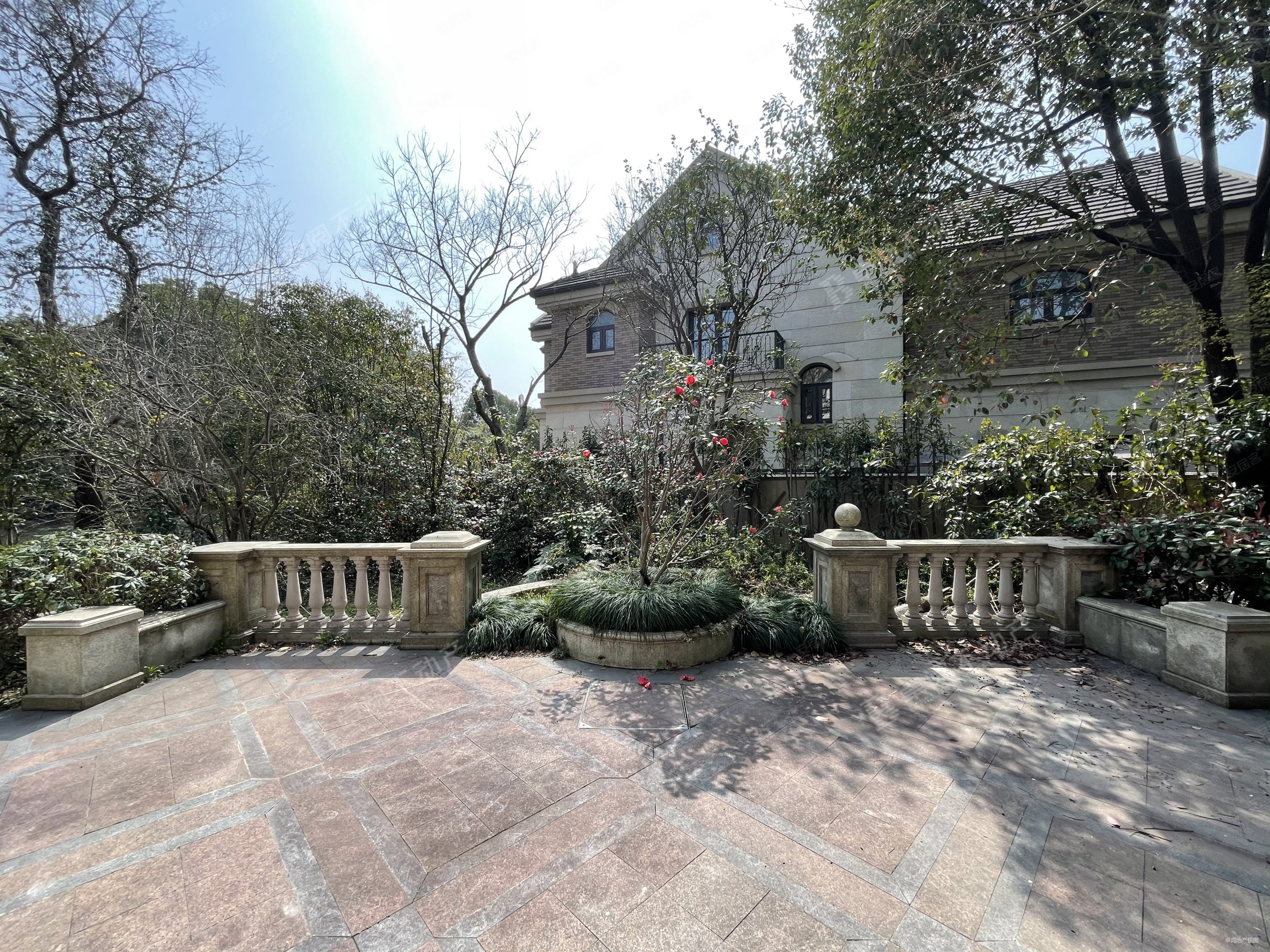 南郊别墅,585平米毛坯独栋出售,满五年 ,户型正,采光好