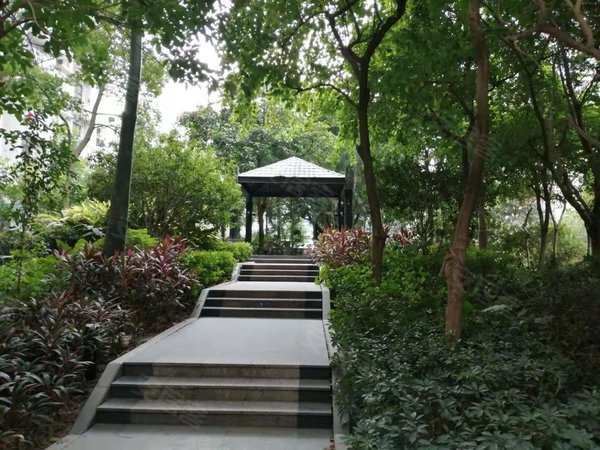 【多图】华南西苑,平湖租房,华南西苑2房2厅出租,全齐家私家电,地铁口