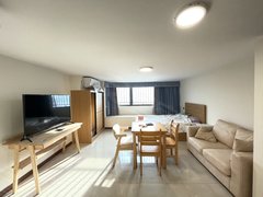网红公寓 精装一房招租价格实惠 拎包入住 随时可看房 近地铁