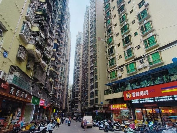 深圳布吉南岭荔枝花园实拍 价格便宜 两房两厅 拎包入住出租房源真实