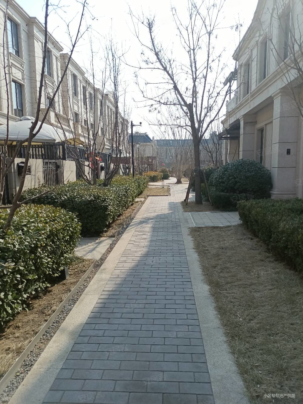 天津房产网>天津二手房>静海二手房>团泊镇二手房>伍杄岛梧桐岛>