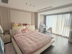 泸州龙马潭万象城万象汇，时光里1套精致的套1出租出租房源真实图片