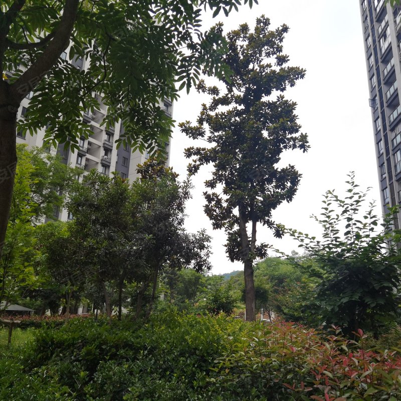 【水岸家园, 水岸家园小区详情,房价走势,房源,业主论坛】- 义乌58