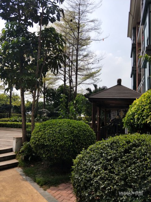 金碧湾|革新路105号1室1厅1卫32.31平方米