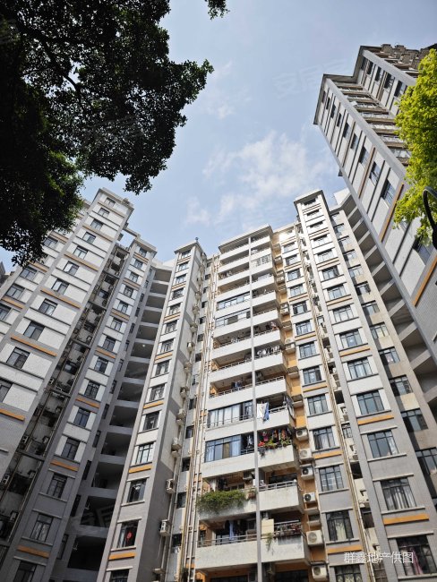 简陋房 丽江花园德 楼龄新 装修好 板楼 近地铁 电梯房