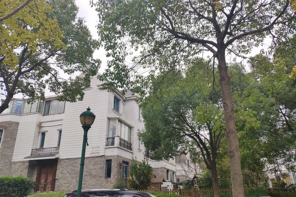 浦发博园(别墅)