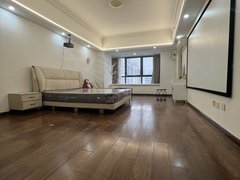 安阳文峰中环百货万达广场 1室1厅1卫 55平 精装修 电梯房出租房源真实图片