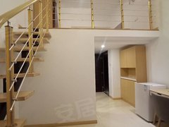 上海青浦赵巷房东豪配。汇金路地铁站LOFT公寓一房整租,拎包入住,出租房源真实图片