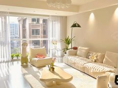 信阳羊山新区恒大名都大信广场旁，1居室精装修，550月，拎包入住出租房源真实图片