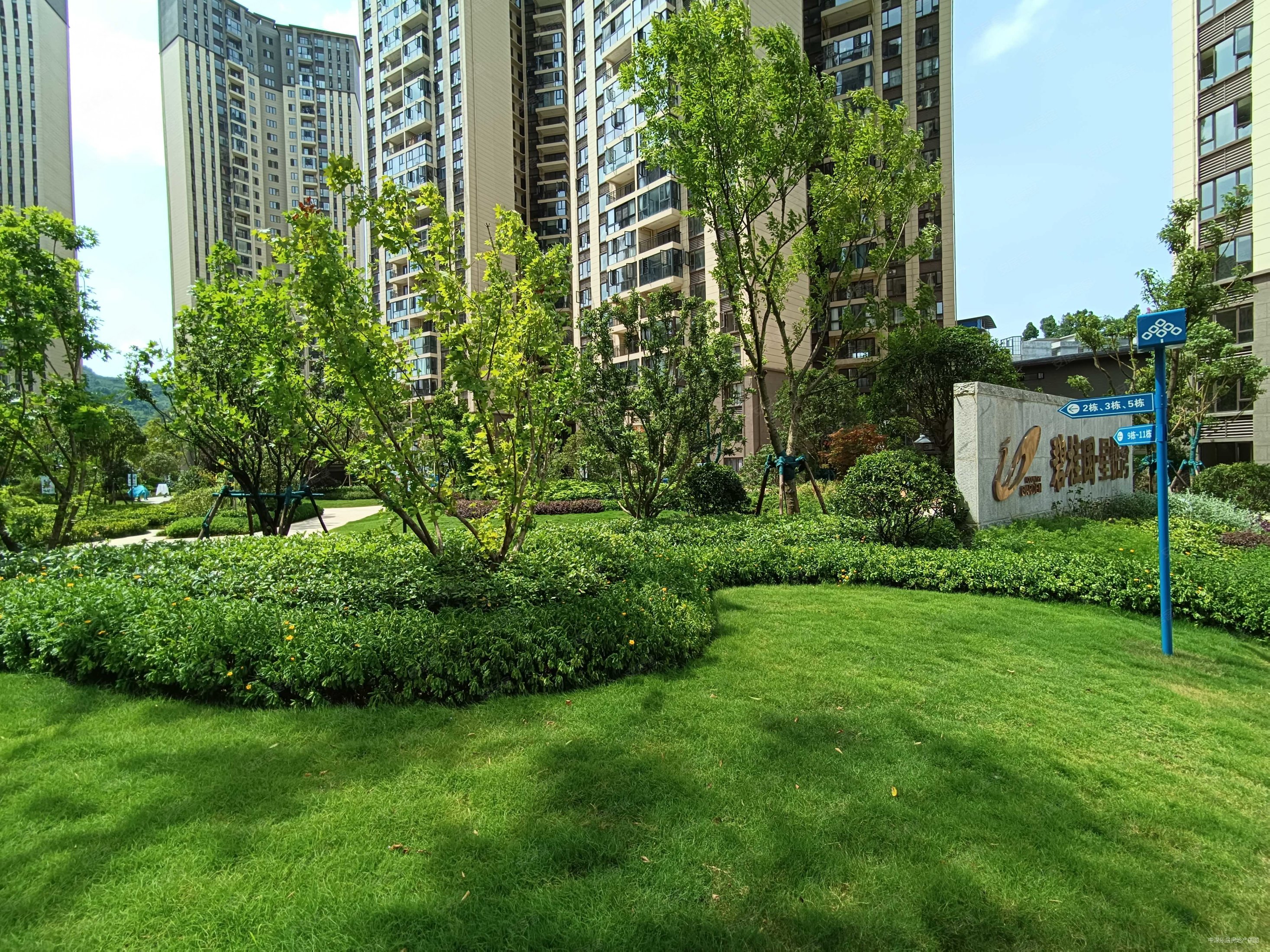 碧桂园星悦湾4室2厅2卫818万142平方米